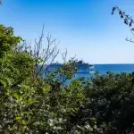 DSC0906 Ergebnis 150x150