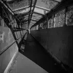 DSC1175 Ergebnis 150x150